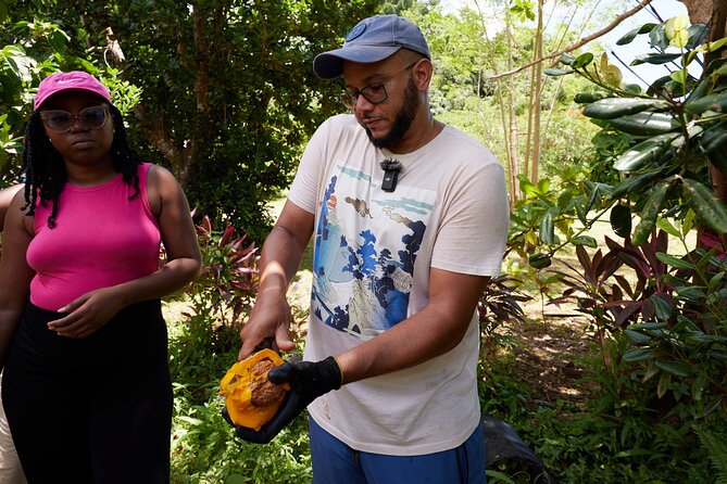 Soma Garden All Inclusive Tropical Fruit Farm Tour - The 90-minute walk through tropical fruit trees