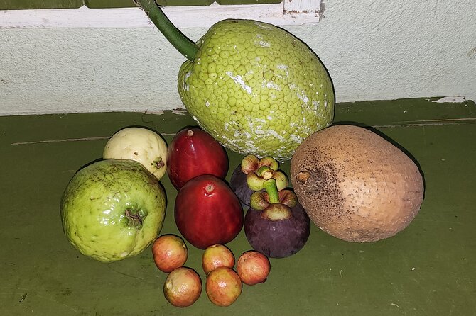 Soma Garden All Inclusive Tropical Fruit Farm Tour - Practical details that affect your day