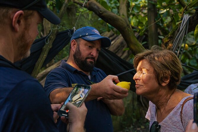 Sorrento Ape Tour, Lemon Garden, Mozzarella Show & Pizza Class - Key points to know