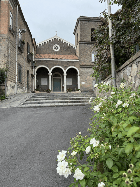 Sorrento: Lemon Garden Guided Tour with Tastings - Should you book the Sorrento Lemon Garden Tour?