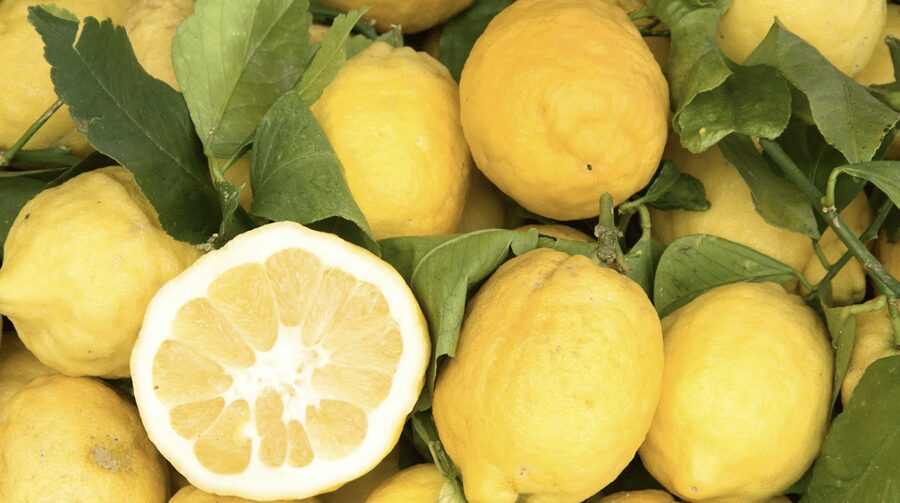 Sorrento: Walking Tour in Lemon Garden w/ Food Tasting - Key points at a glance