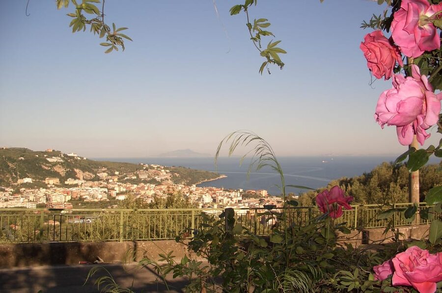 Sorrento: Walking Tour in Lemon Garden w/ Food Tasting - Practical details before you go