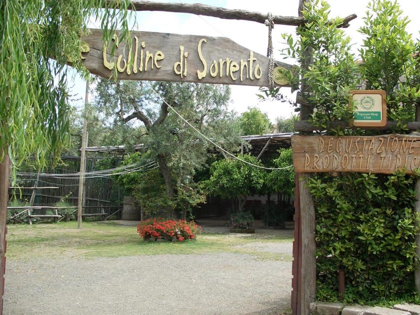 Sorrento: Walking Tour in Lemon Garden w/ Food Tasting - A farm table with cheese, bread, and wine
