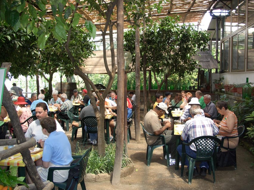 Sorrento: Walking Tour in Lemon Garden w/ Food Tasting - What the $81 price gets you