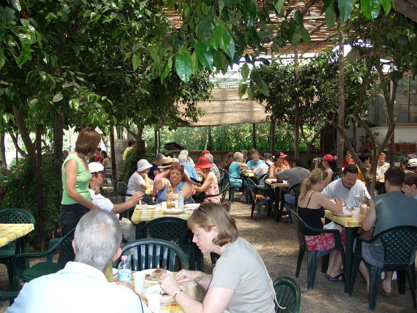 Sorrento: Walking Tour in Lemon Garden w/ Food Tasting - Who should book this farm visit?