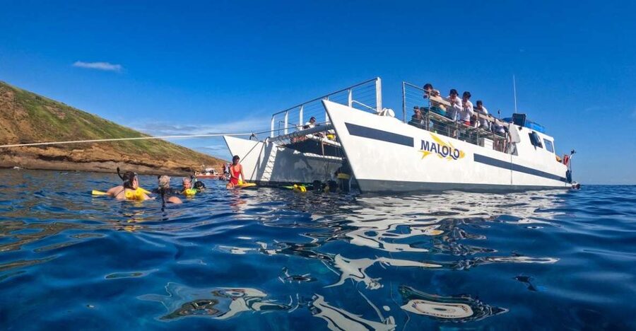 South Maui: Snorkel to Coral Gardens or Molokini Crater - Molokini or Coral Gardens: the choice is not yours