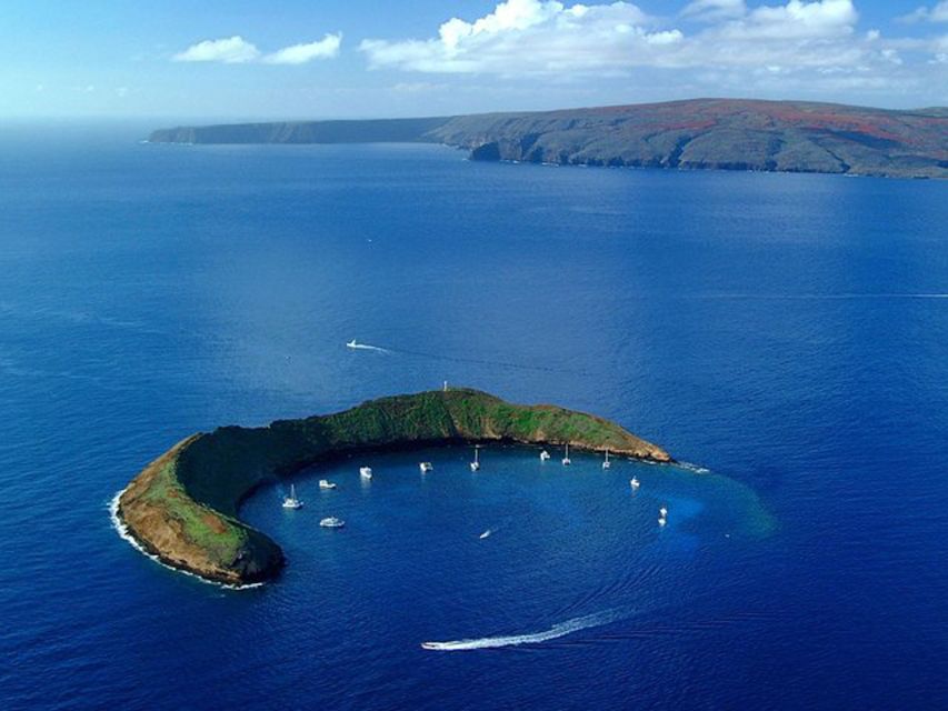 South Maui: Snorkel to Coral Gardens or Molokini Crater - Is $89 a good Maui snorkeling value?