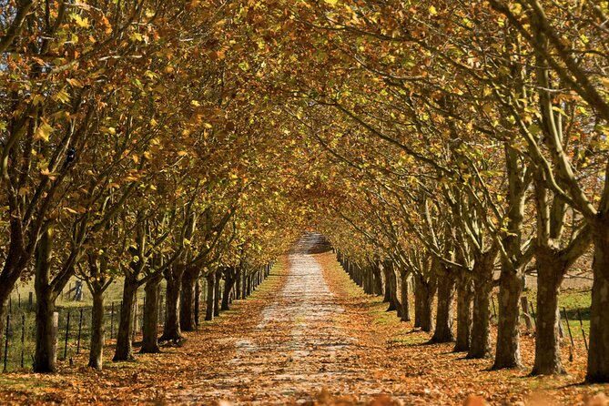Southern Highlands Private Tour with Wine, Waterfall and Garden - Bowral begins the day with open country and old-world charm