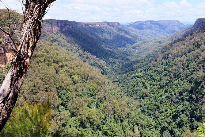 Southern Highlands Private Tour with Wine, Waterfall and Garden - Who will get the most from this day