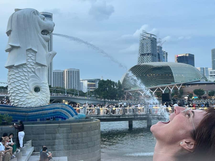 Spectra & Garden Rhapsody Shows with Singapore River Cruise - The river cruise gives your night a calm opening