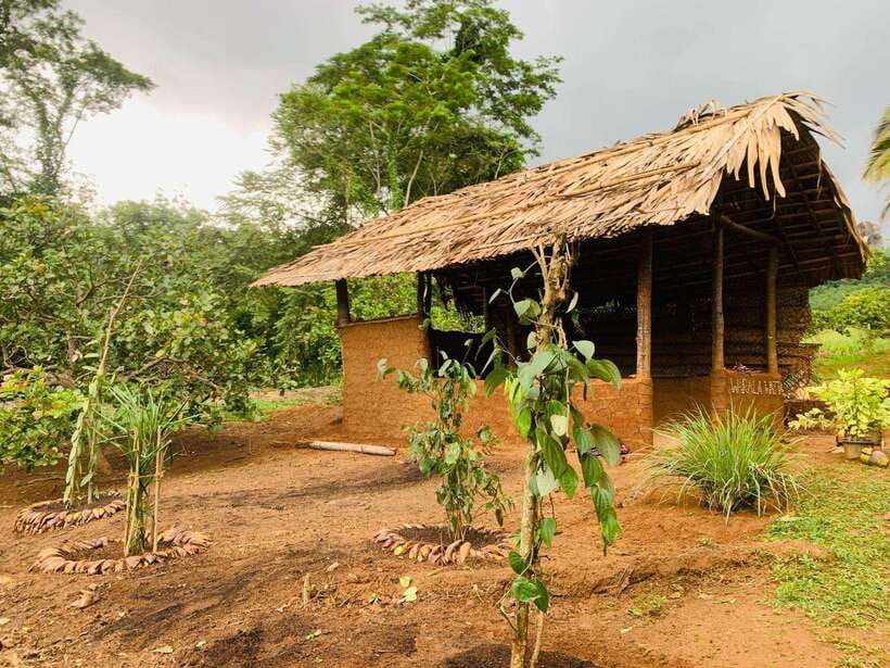 Sri Lanka: Ceylon Cinnamon Experience & Spice Garden Tour - Cinnamon from tree bark to finished quill