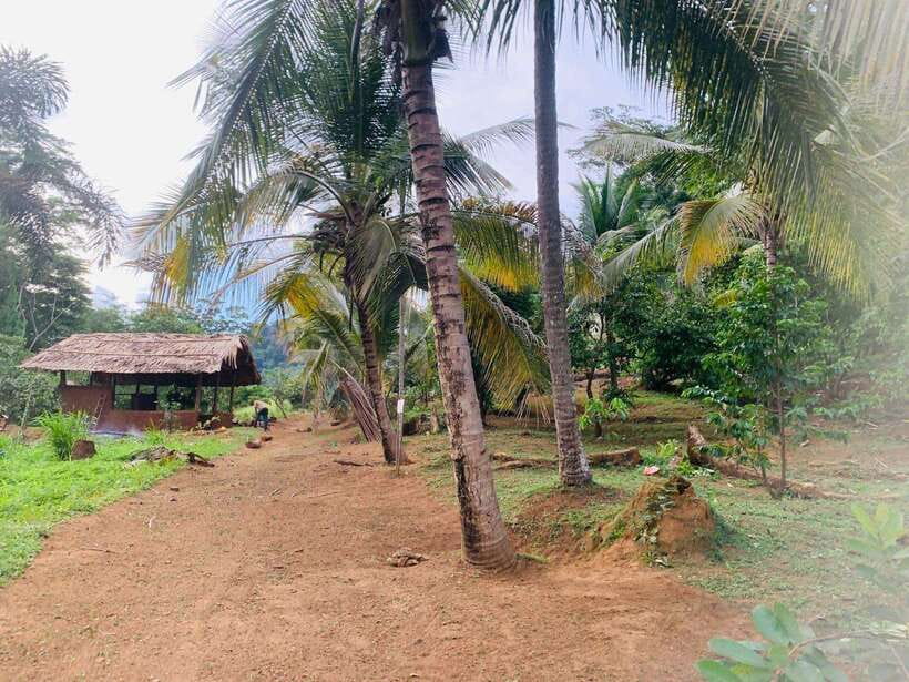 Sri Lanka: Ceylon Cinnamon Experience & Spice Garden Tour - The factory visit puts farming into context