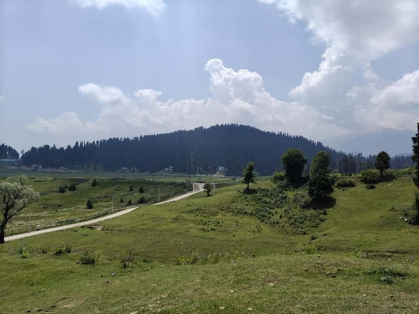 Srinagar: Gulmarg Day Tour - Explore the Meadow of Flowers - Who will get the most from this outing