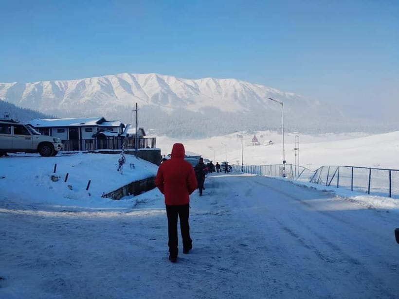 Srinagar: Gulmarg Day Tour - Explore the Meadow of Flowers - Carpet weaving and Pashmina on the return journey