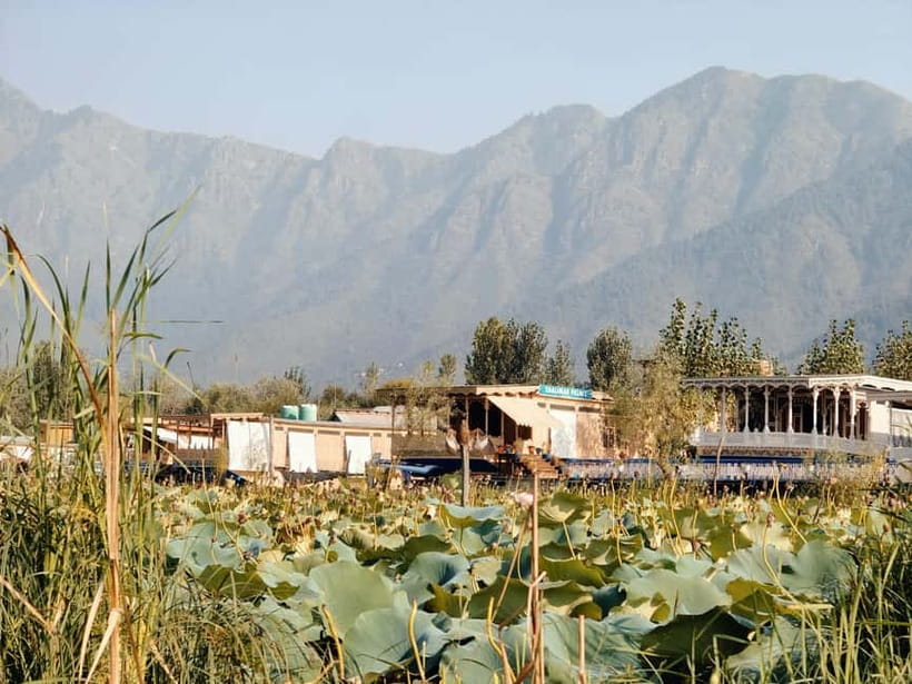 Srinagar: Private Old City and Mughal Gardens Guided Tour - Taking a Wazwan break at J J Foods Srinagar