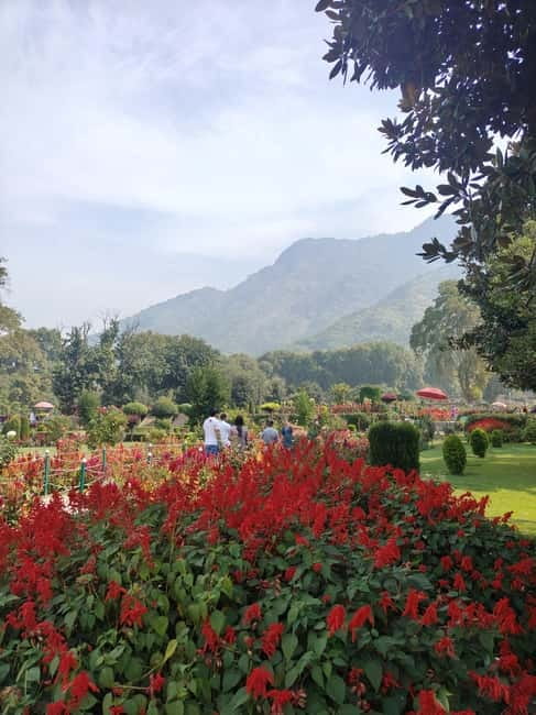 Srinagar: Private Old City and Mughal Gardens Guided Tour - Nishat Garden, the Garden of Pleasure