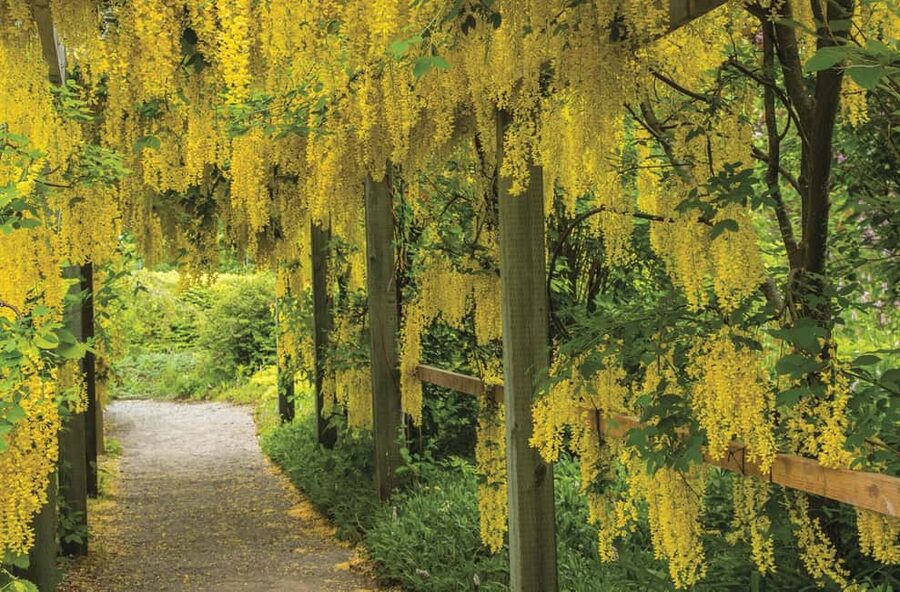 St. Andrews New Brunswick: Kingsbrae Garden Admission Ticket - Who will enjoy Kingsbrae Garden most