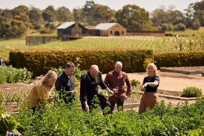 St Hugo Garden to Table Experience & Lunch - The open kitchen is the best seat in the house