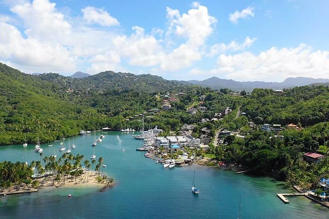 St. Lucia Botanical Gardens and Waterfall Tour Groups only - Meeting the Pitons above Soufriere Bay