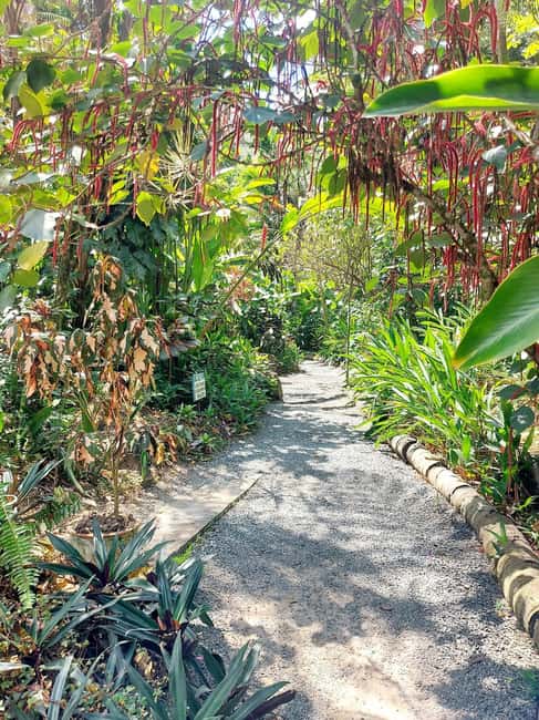 St. Lucia: Scenic Nature Hike & Botanical Garden Escape - Key points at a glance