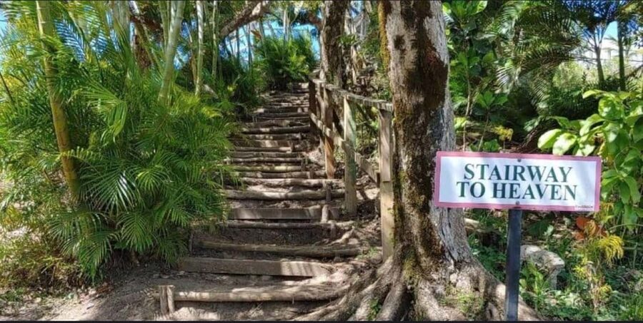 St. Lucia: Scenic Nature Hike & Botanical Garden Escape - Diamond Falls Botanical Gardens for a slower second half