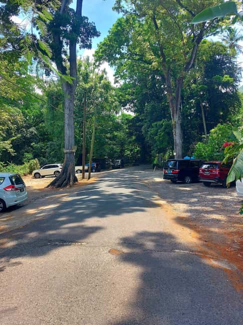 St. Lucia: Scenic Nature Hike & Botanical Garden Escape - How the private SUV changes the day