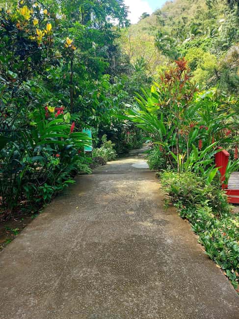 St. Lucia: Scenic Nature Hike & Botanical Garden Escape - What is included, and what will cost extra