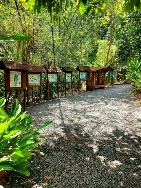 St. Lucia: Scenic Nature Hike & Botanical Garden Escape - The drive through Roseau, Anse La Raye, and Canaries