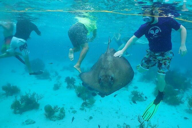 Starfish Point, Stingray City & Coral Garden (3-STOP Adventure) - Why this three-stop tour works well
