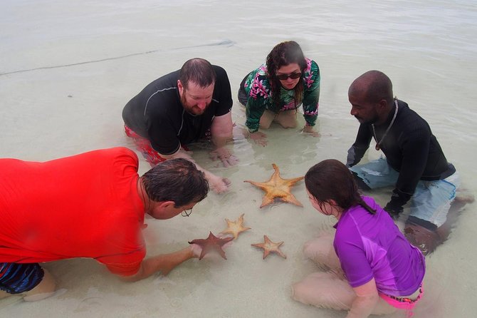Starfish Point, Stingray City & Coral Garden (3-STOP Adventure) - Responsible contact with marine life