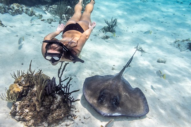 Starfish Point, Stingray City-Sandbar & Coral Gardens - Who will enjoy this outing most
