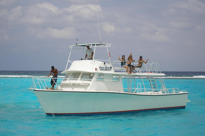 Starfish Point, Stingray City-Sandbar & Coral Gardens - Coral Gardens: a useful snorkel, not a full reef expedition