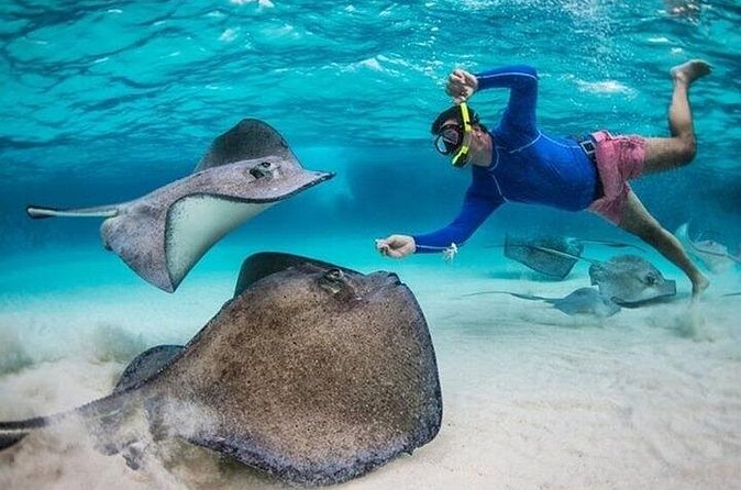 Stingray City Sandbar, Coral Gardens Snorkeling & Star Fish Point - What the boat ride and transport are really like