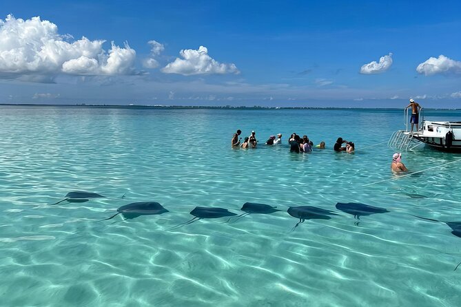 StingrayCity ,Coral Garden & Starfish Tour. - Key points to know before you book
