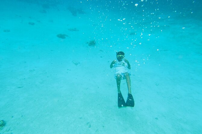 StingrayCity ,Coral Garden & Starfish Tour. - Coral Gardens for fish and snorkeling
