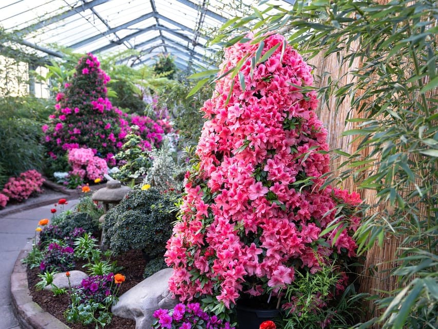 Stuttgart: Wilhelma Zoological-Botanical Garden Ticket - Follow themed worlds from Amazonia to the Mountain Worlds