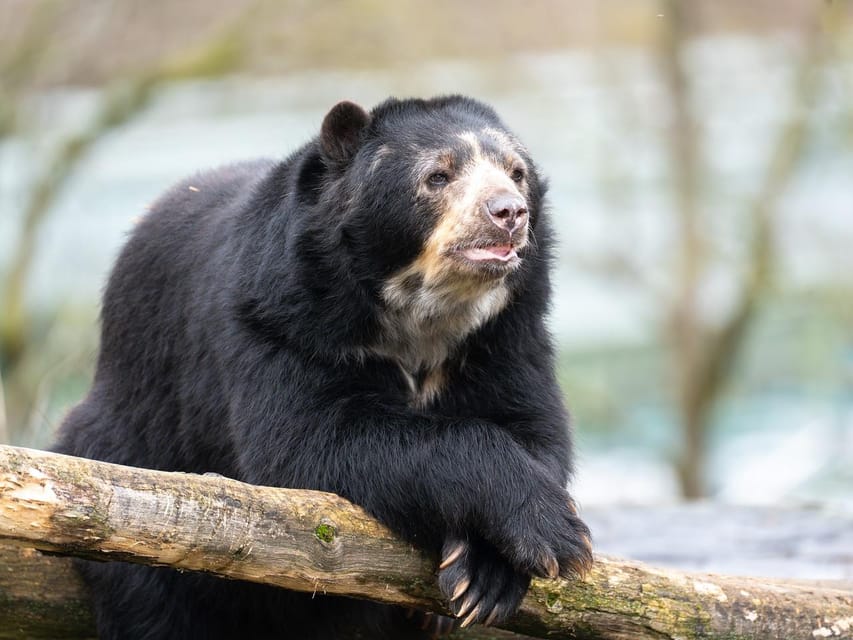 Stuttgart: Wilhelma Zoological-Botanical Garden Ticket - Give the visit a full day if gardens matter to you