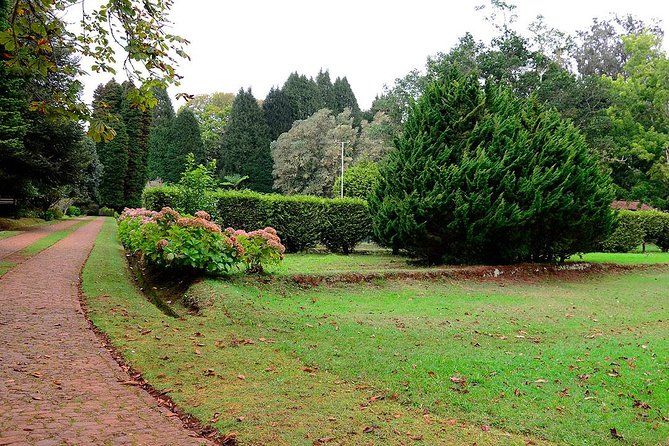 Sunday Market and Gardens Tour - Camacha and the route’s changing details