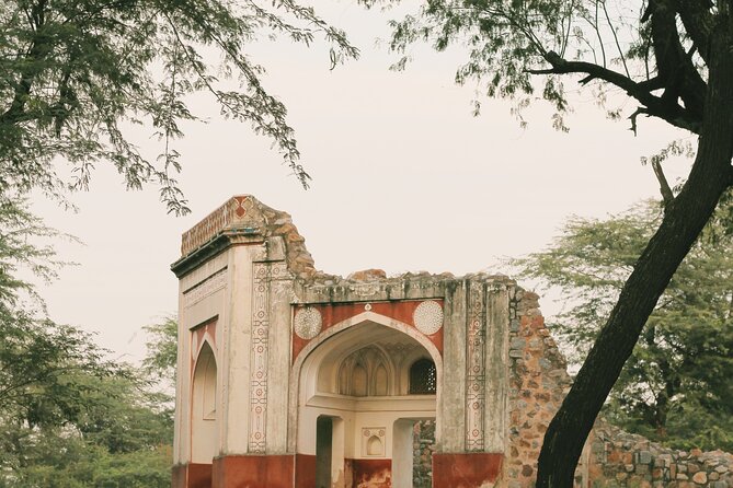 Sunder Nursery Delhi's Heritage Garden Walk Tour - The Garden’s 300 Plant Species