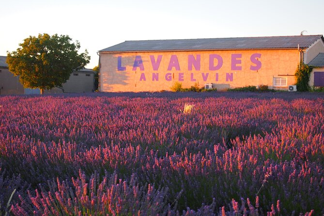 Sunset Lavender Tour from Aix-en-Provence - Why sunset makes Valensole worth the drive
