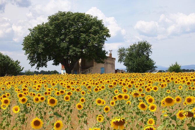 Sunset Lavender Tour from Aix-en-Provence - Is $131.54 a fair price?