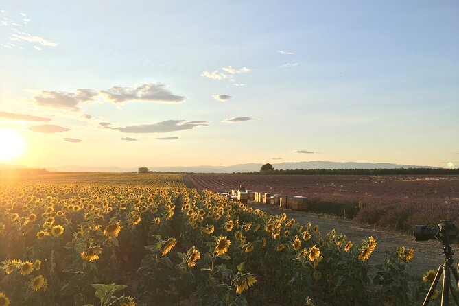 Sunset Lavender Tour from Aix-en-Provence - What to bring for a better evening