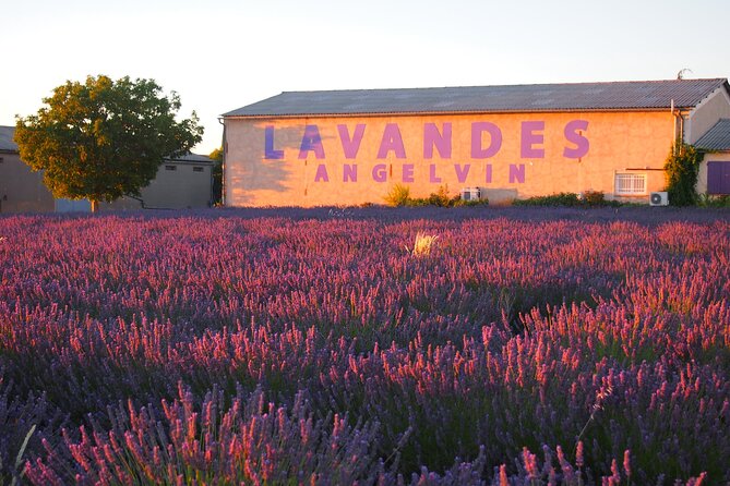 Sunset Lavender Tour in Valensole with pickup from Marseille - The Plateau de Valensole: two hours among the fields