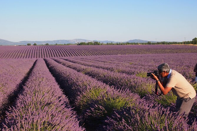 Sunset Lavender Tour in Valensole with pickup from Marseille - Is $138.17 a fair price?