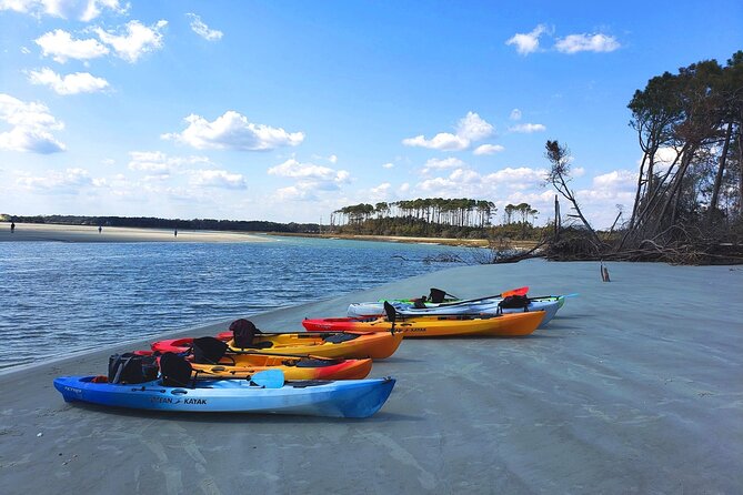 SUP (stand-up paddboard) Salt Marsh Maze Tour - Why the salt marsh makes this tour different