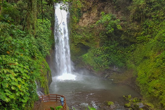 Super Combo Tour: Waterfalls Gardens + Coffee Tour + Poás Volcano - Shared transport and group size