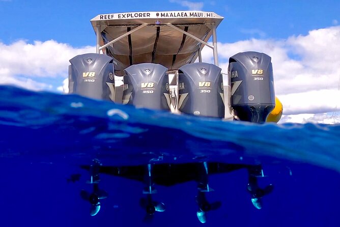 Super Raft - Private Charter Maui 3 Hour Snorkel to Coral Gardens or Molokini - Coral Gardens and the value of a flexible backup