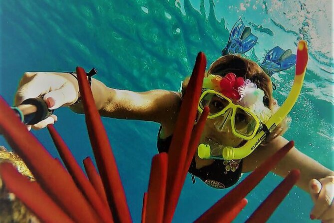 Super Raft - Private Charter Maui 3 Hour Snorkel to Coral Gardens or Molokini - Weather, cancellations, and practical planning