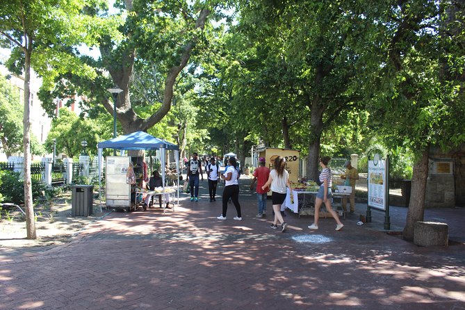 Table Mountain Cape Town City Tour Kirstenbosch Gardens +Tickets - Kirstenbosch: the best place to slow the afternoon