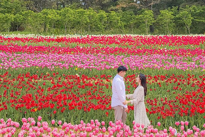 Taean Tulip Festival and Strawberry Picking Day Tour from Seoul - Key points to know before booking